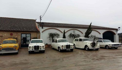 Grup-limo Grup-limo