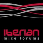 iberianmiceforums