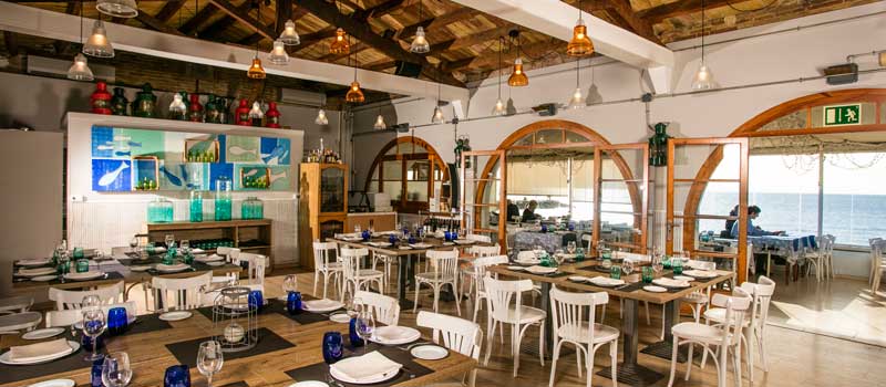 picnic-restaurant