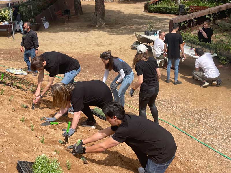 Sitges-outdoor-reforestacion