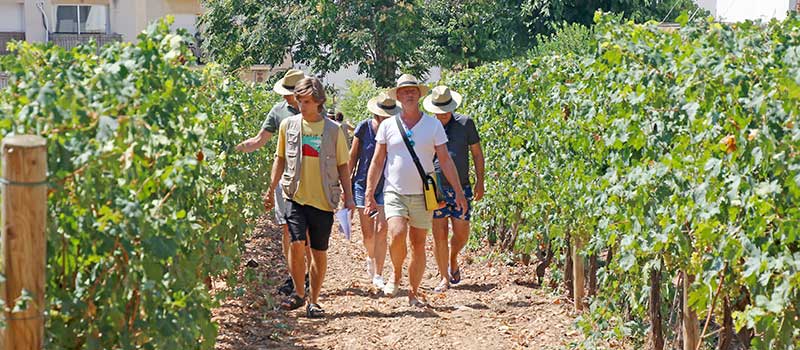 CIM-visites-guiades