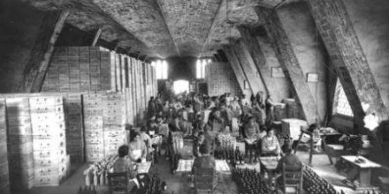 Codorniu